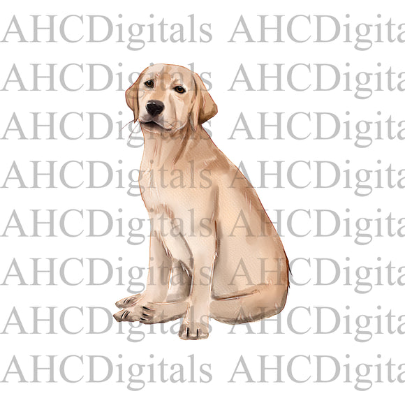 Yellow Lab Sublimation Image, Golden Lab Watercolor Image, Labrador Digital Download, dog png, cute dog download, Yellow lab svg