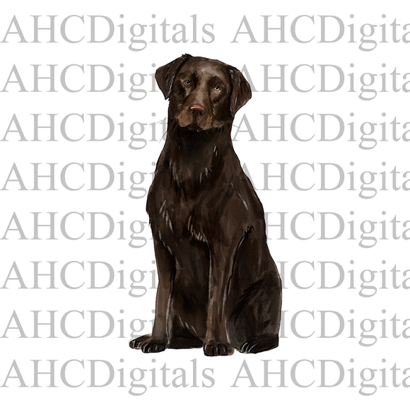 Chocolate Lab Sublimation Image, Brown Lab Watercolor Image, Labrador Digital Download, dog png, cute dog download, Chocolate lab svg