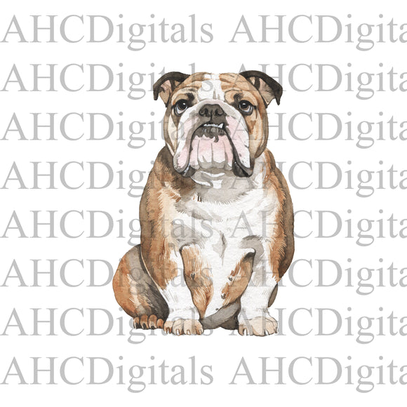 English Bulldog Sublimation Image, English Bulldog Watercolor Image, tan Bulldog Digital Download, dog png, cute dog digital download,