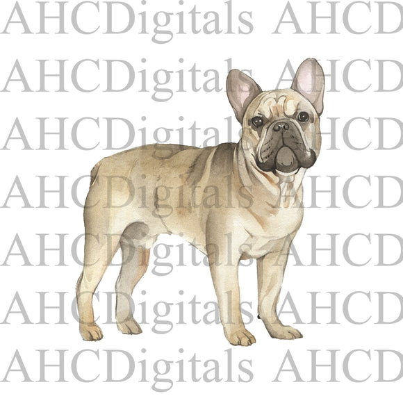 French Bulldog Sublimation Image, French Bulldog Watercolor Image, tan Bulldog Digital Download, dog png, cute dog digital download,